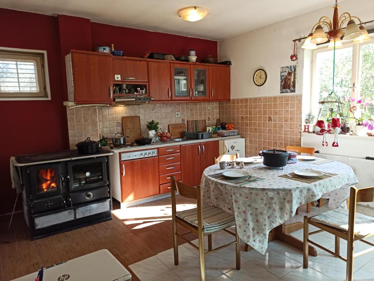 Apartament Maslinov Hlad Barbat na Rabu Zewnętrze zdjęcie